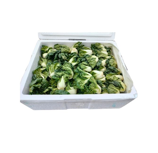 Dou Pak Loose Baby White Pak Choy 1x4kg