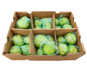 Chow Chow (Chayote) 1kg