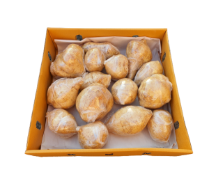 Jicama (Yam Beans) 1x5kg