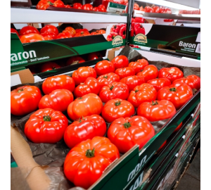 Beef Tomatoes 1x8kg