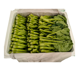 Chinese Kai Lan 1x5kg