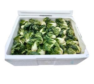 Dou Pak Loose Baby White Pak Choy 1x4kg