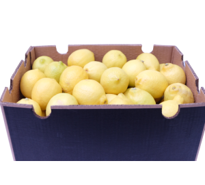Lemons  1x100pcs