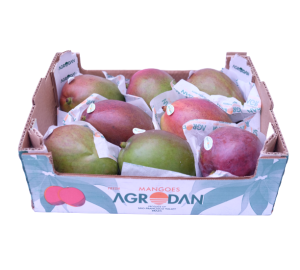 Mango AGRODAN 1x6pcs