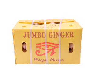 Fresh Jumbo Ginger 1x10kg