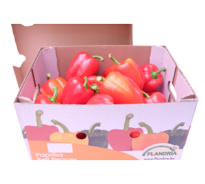 Red Bell Peppers 1x5kg