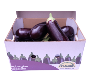 Aubergines 225-300g 1x5kg 