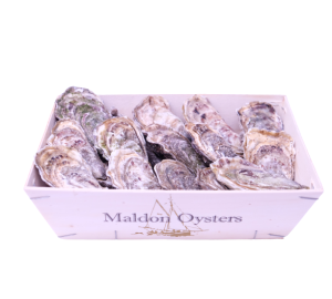 Maldon Oysters 1x25pcs