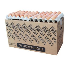 Large Lion Grade Eggs 1x360pcs (30 DOZEN)