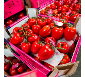 Plum Vine Tomatoes 1x5kg